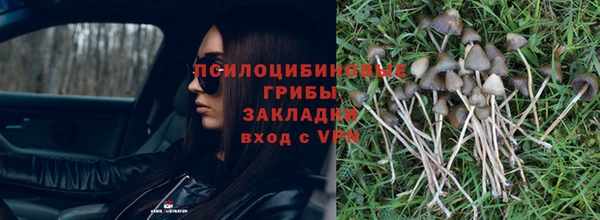 стафф Покров