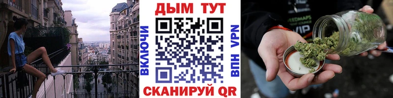 Бошки Шишки гибрид Красный Кут